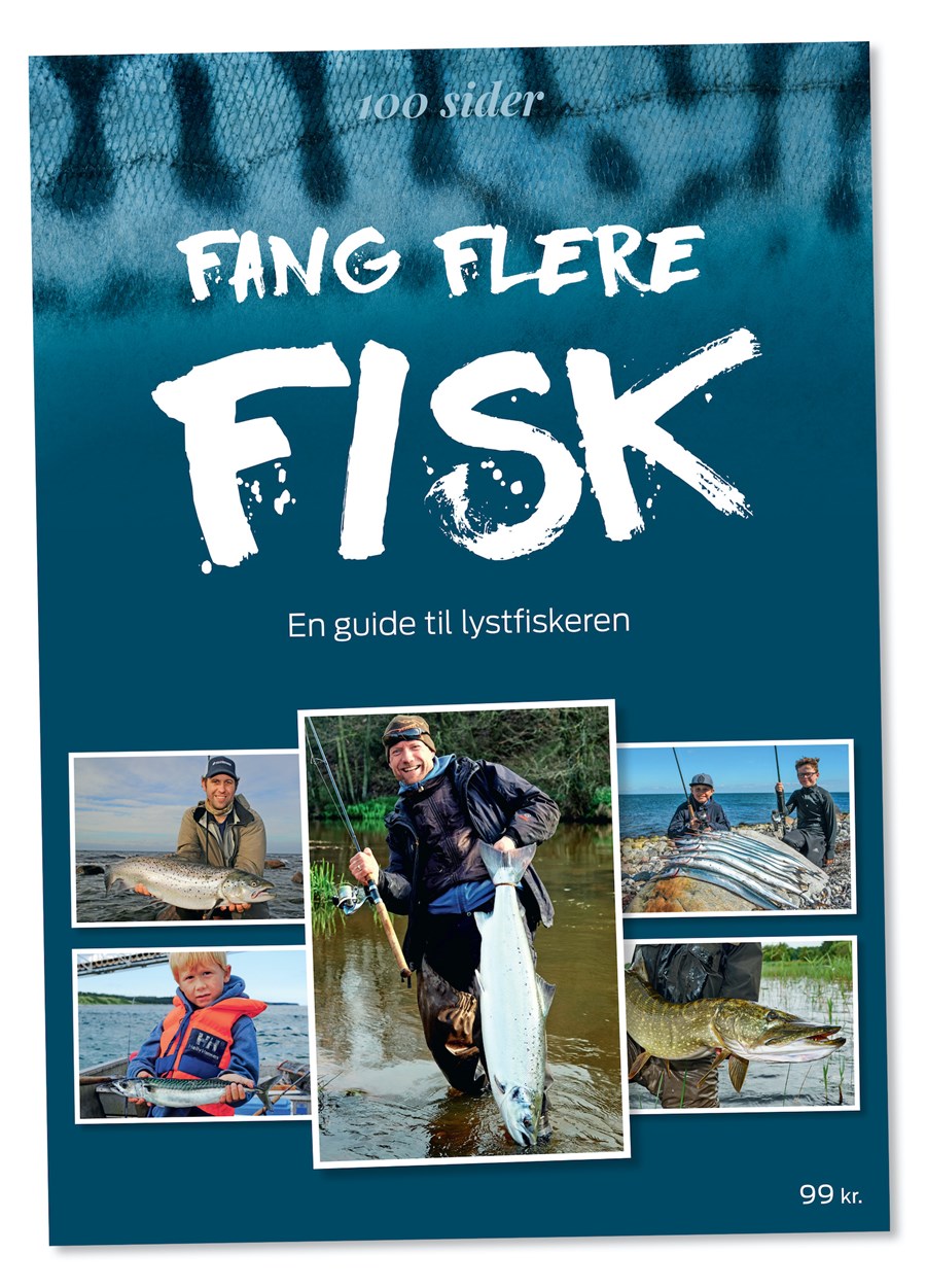 Fang Flere Fisk Cover